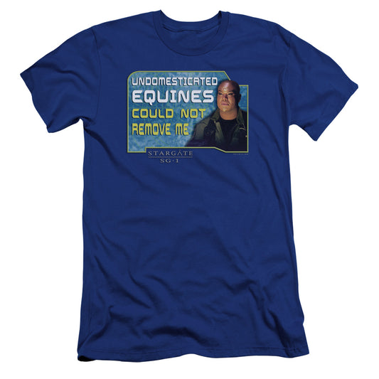 Sg1 - Dedicated-premuim Canvas Adult Slim Fit 30/1 - Royal Blue