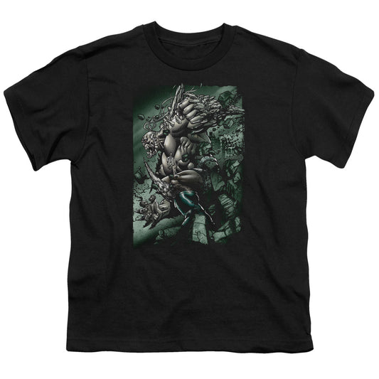 Superman - Doomsday Destruction - Short Sleeve Youth 18/1 - Black T-shirt