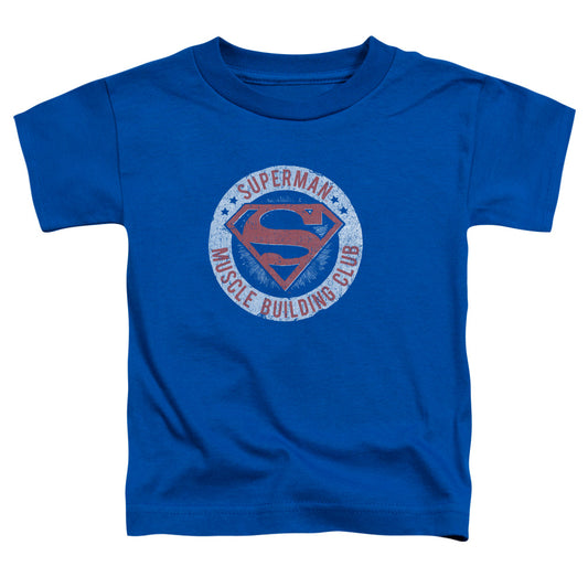 SUPERMAN MUSCLE CLUB - S/S TODDLER TEE - ROYAL BLUE - T-Shirt