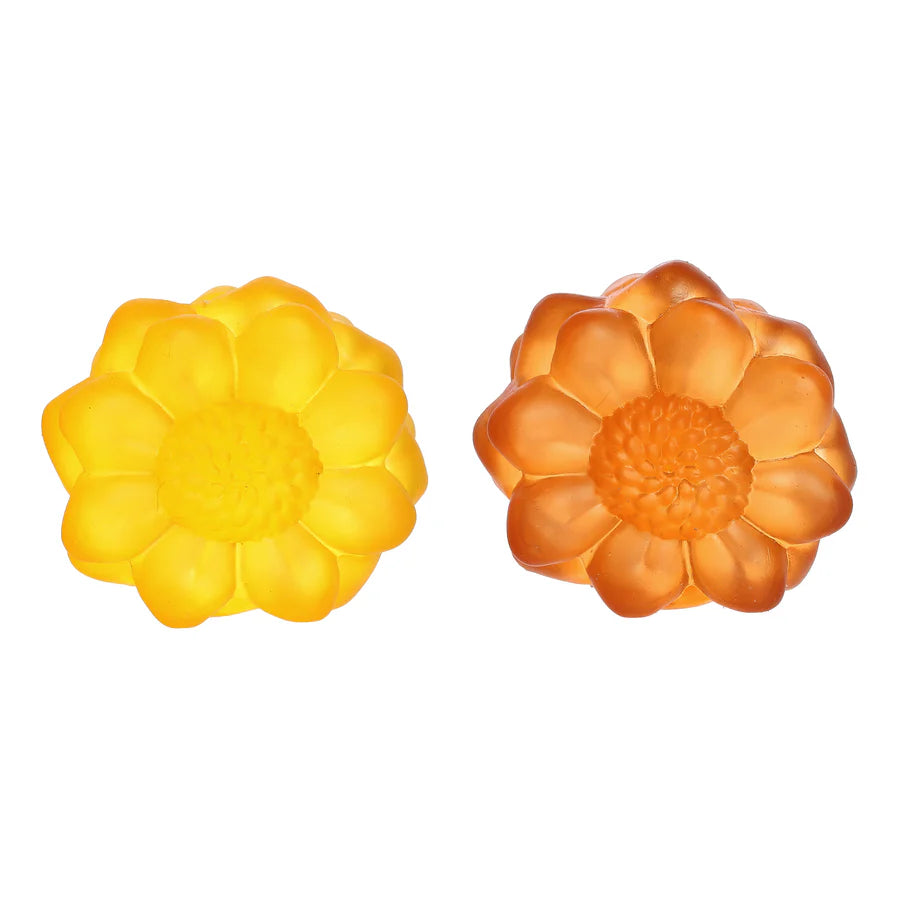 Sunflower Sugar Squeezy