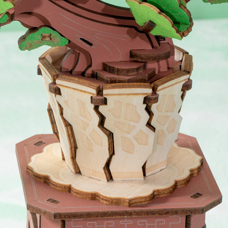 Evergreen Bonsai 3d Kit