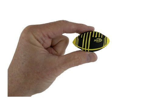 World's Smallest Nerf Weather Blitz Football