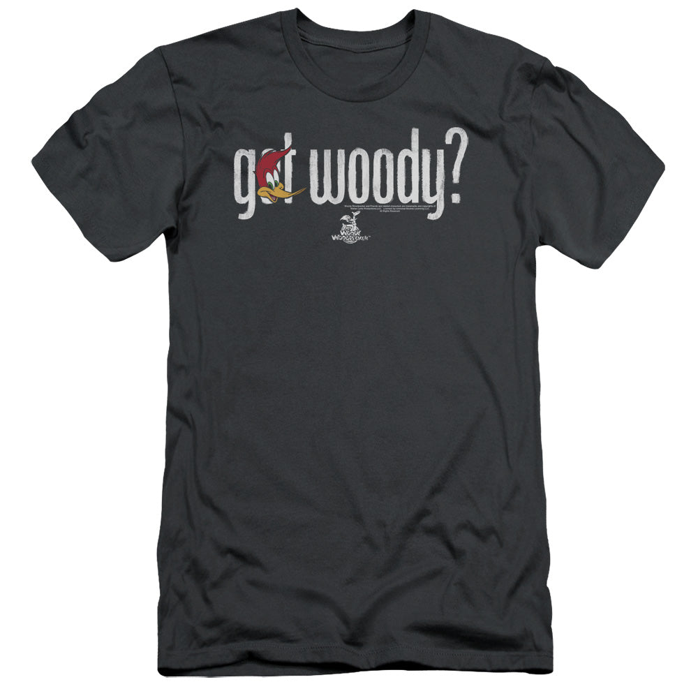 Woody Woodpecker - Got Woody - Short Sleeve Adult 30/1 - Charcoal T-shirt