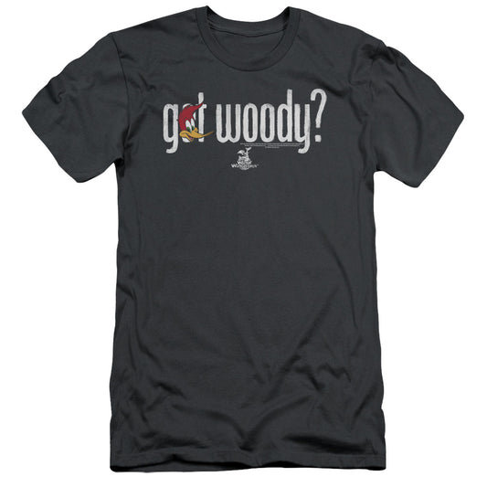 Woody Woodpecker - Got Woody - Short Sleeve Adult 30/1 - Charcoal T-shirt