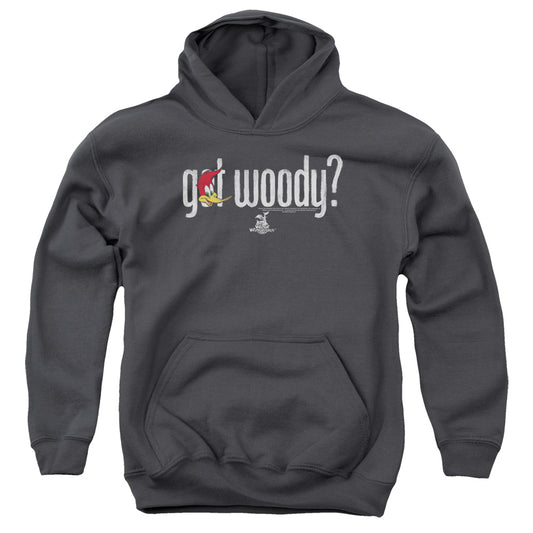 Woody Woodpecker - Got Woody - Youth Pull-over Hoodie - Charcoal