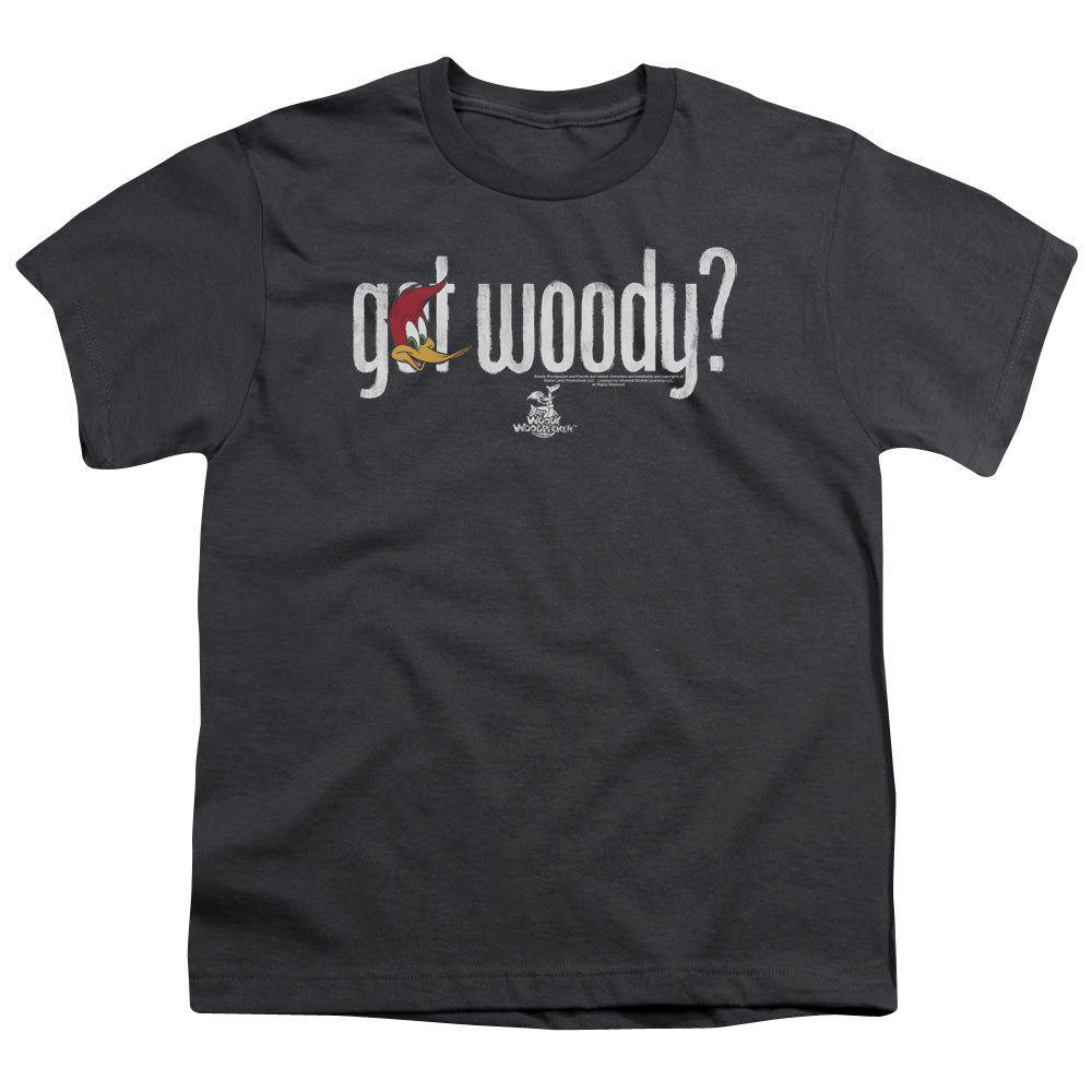 Woody Woodpecker - Got Woody - Short Sleeve Youth 18/1 - Charcoal T-shirt
