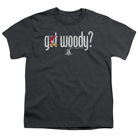 Woody Woodpecker - Got Woody - Short Sleeve Youth 18/1 - Charcoal T-shirt