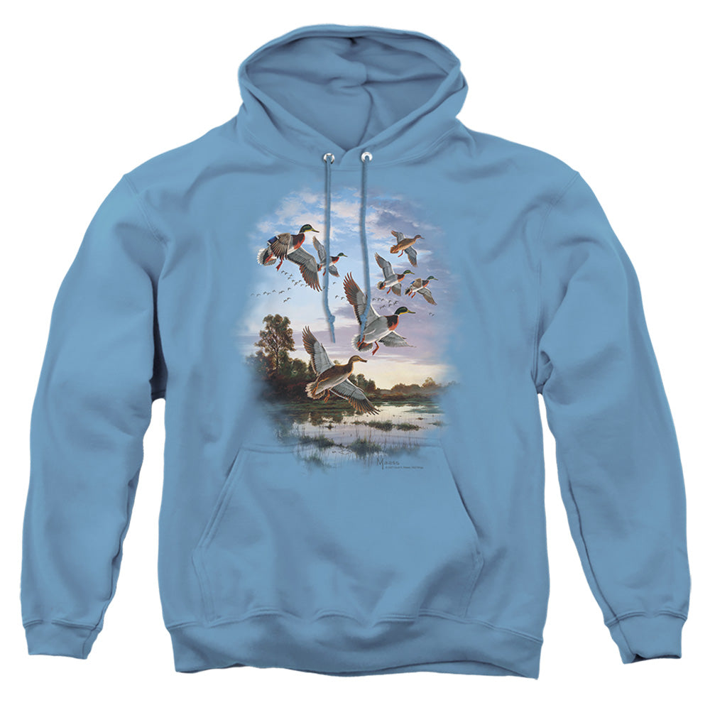 Wildlife Evening Flight Mallards - Adult Pull-over Hoodie - Carolina Blue