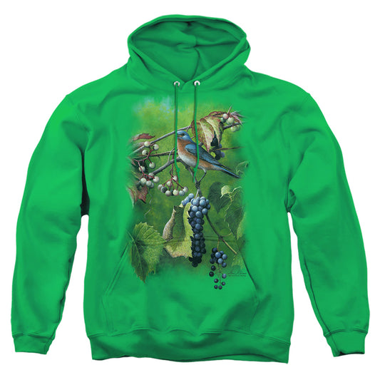 Wildlife - Summertime Estrn Bluebird - Adult Pull-over Hoodie - Kelly Green