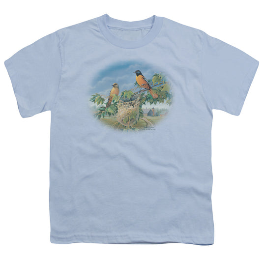 WILDLIFE ORIOLES AND FARM - S/S YOUTH 18/1 - LIGHT BLUE T-Shirt