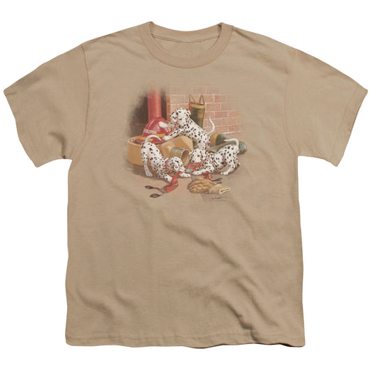 Wildlife - Wheres The Fire? - Short Sleeve Youth 18/1 - Sand T-shirt