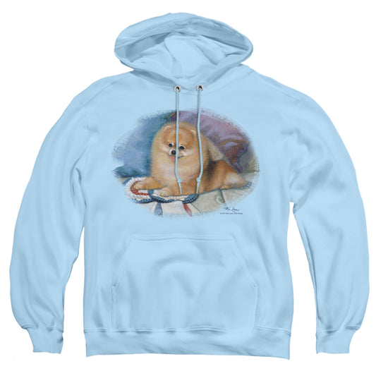 Wildlife - Pomeranian Portrait - Adult Pull-over Hoodie - Light Blue