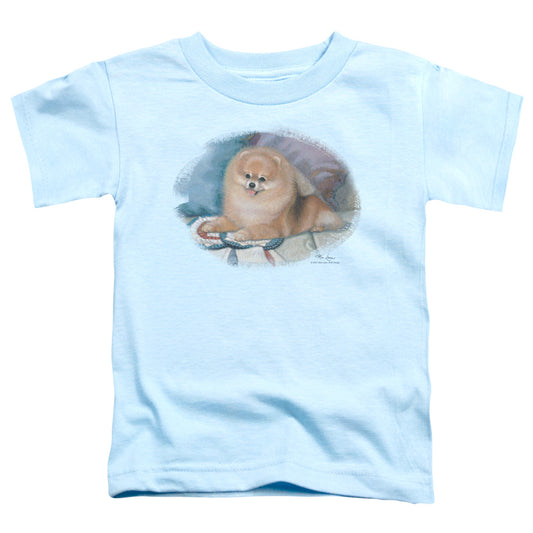 Wildlife - Pomeranian Portrait - Short Sleeve Toddler Tee - Light Blue T-shirt
