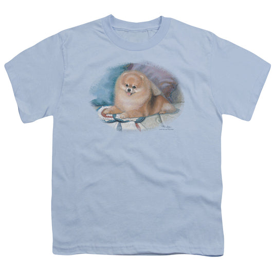 Wildlife - Pomeranian Portrait - Short Sleeve Youth 18/1 - Light Blue T-shirt