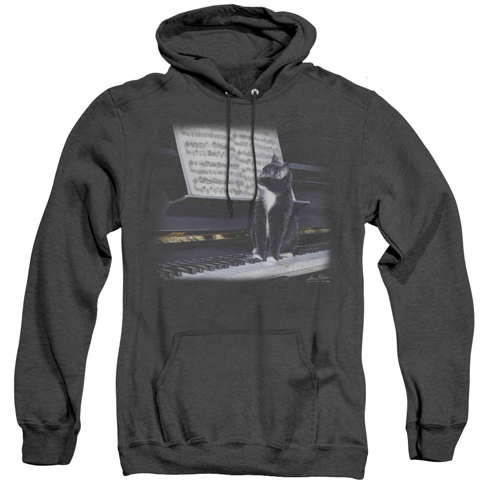 Wildlife - Kitten On The Keys - Adult Heather Hoodie - Black
