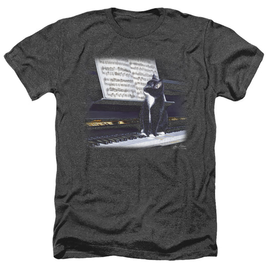 Wildlife - Kitten On The Keys - Adult Heather-black