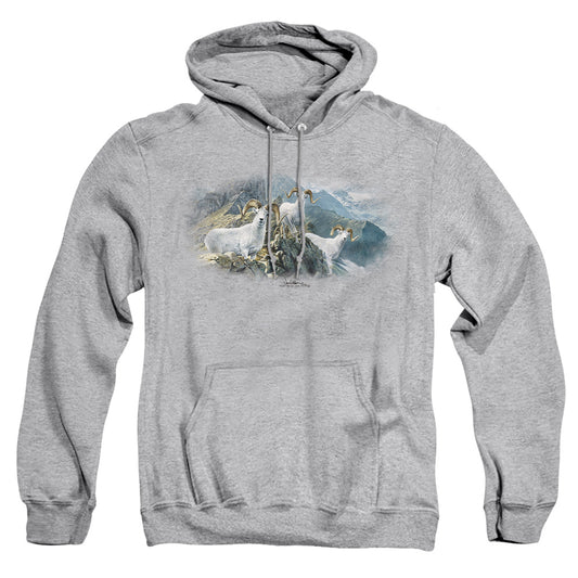 Wildlife - High Trails Dall Sheep - Adult Pull-over Hoodie - Athletic Heather