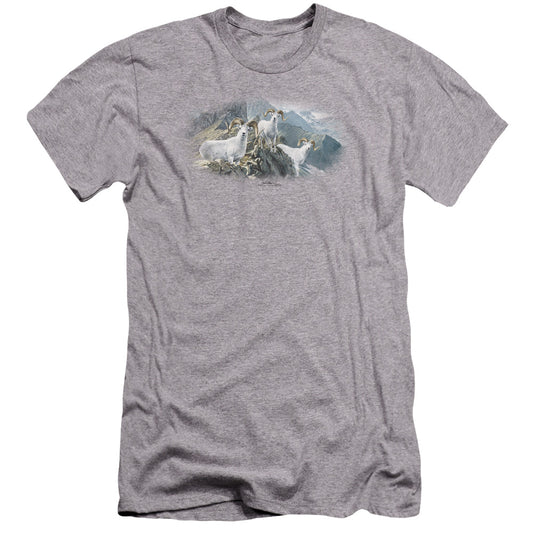Wildlife - High Trails Dall Sheep-premuim Canvas Adult Slim Fit 30/1 - Athletic Heather
