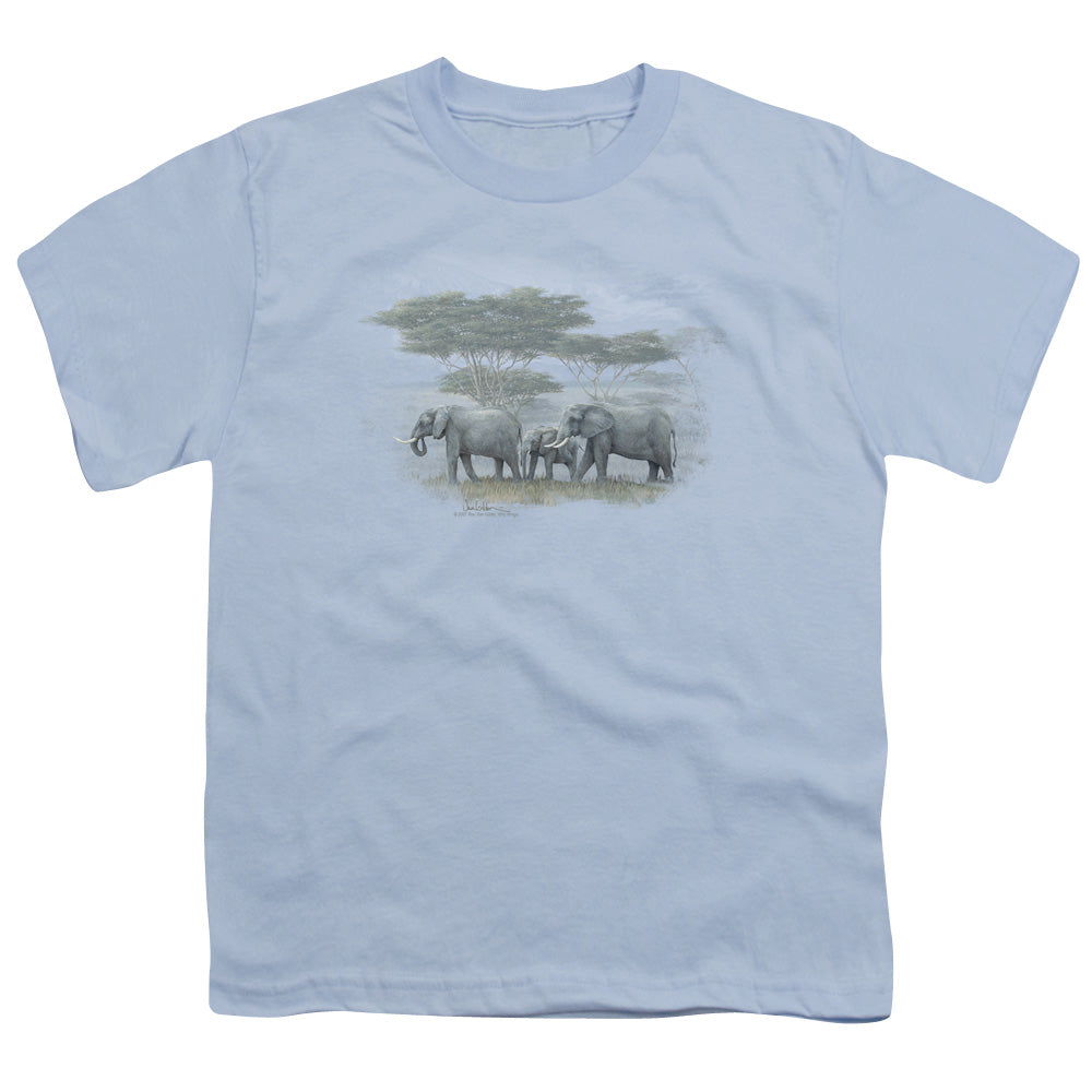 Wildlife - Heart Of Africa - Short Sleeve Youth 18/1 - Light Blue T-shirt