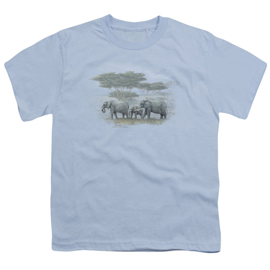 Wildlife - Heart Of Africa - Short Sleeve Youth 18/1 - Light Blue T-shirt