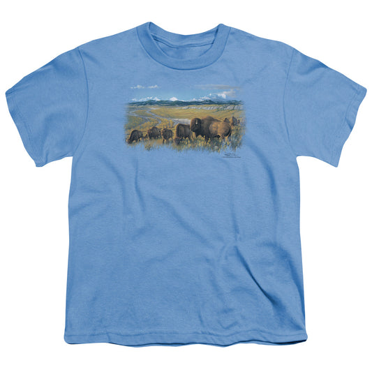 Wildlife - The Passing Herd - Short Sleeve Youth 18/1 - Carolina Blue T-shirt