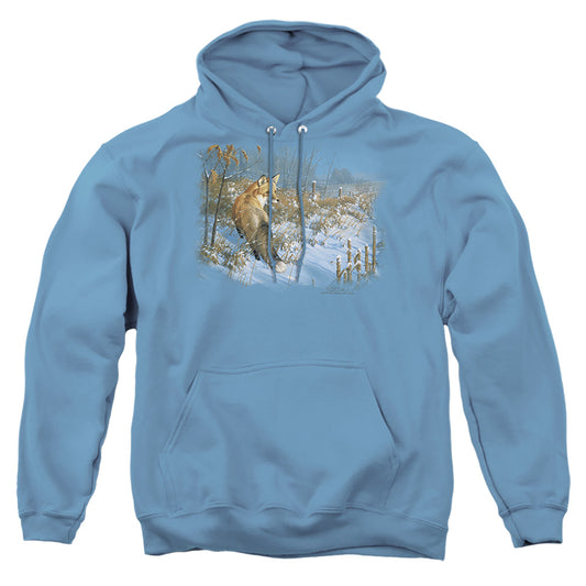 Wildlife - Winter Red Fox - Adult Pull-over Hoodie - Carolina Blue