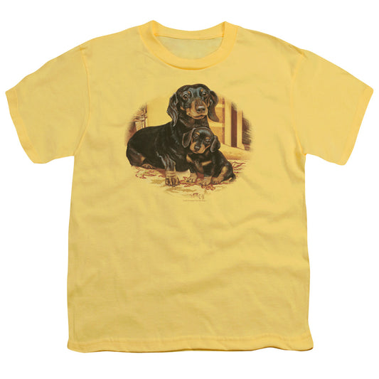 Wildlife - Picture Perfect Dachshunds - Short Sleeve Youth 18/1 - Banana T-shirt