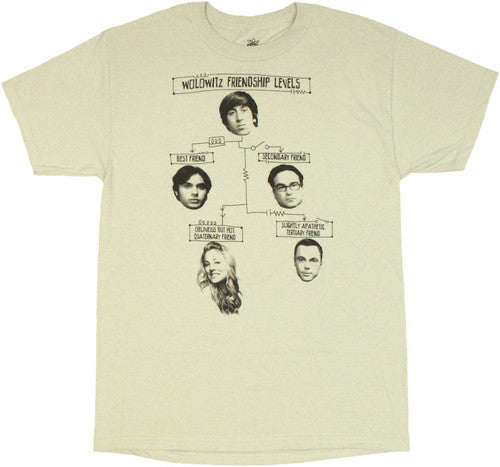 Big Bang Theory Friendship Levels T-Shirt