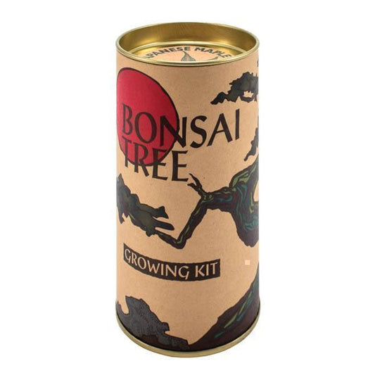 Bonsai Grow-A-Tree Kit (Japanese Maple)