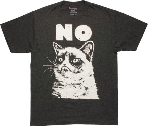 Grumpy Cat No T-Shirt Sheer