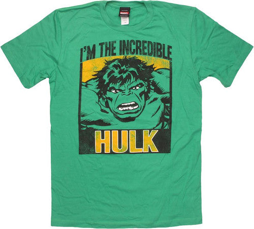 Incredible Hulk Block Portrait T-Shirt Sheer