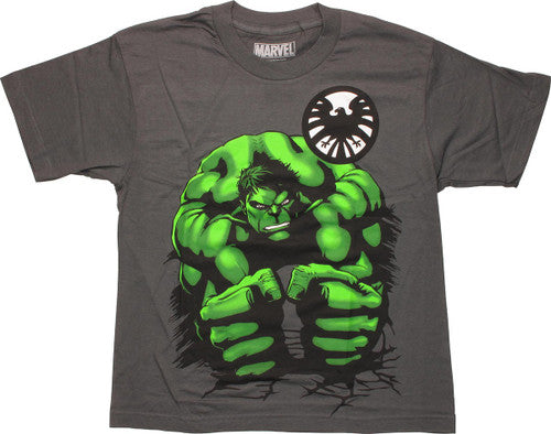 Incredible Hulk SHIELD Pound Youth T-Shirt