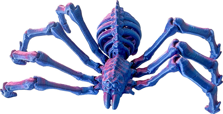 Twiddle Spider Fidget Toy (style may vary)
