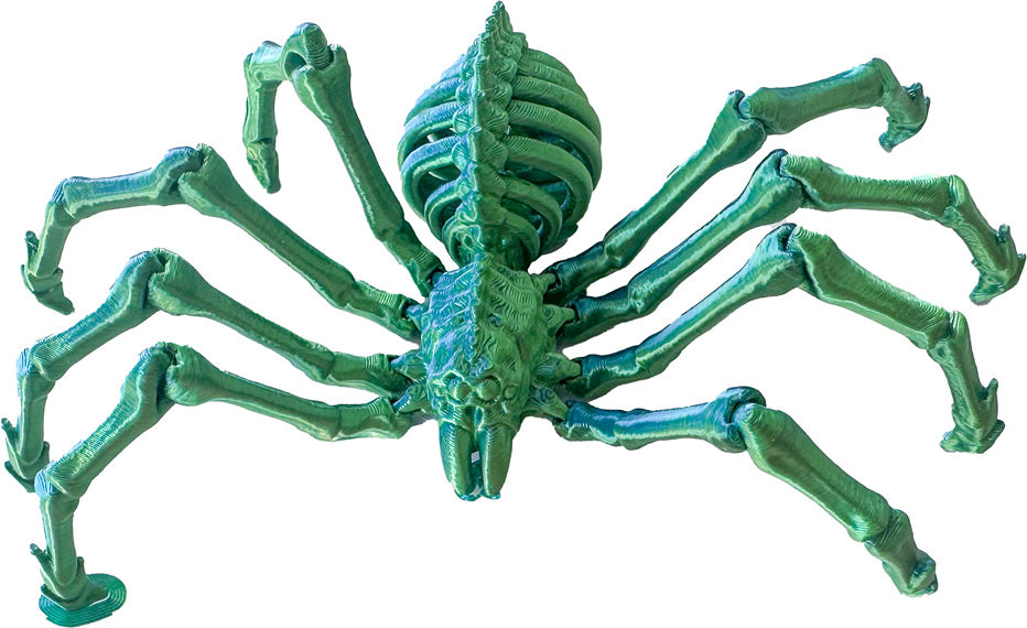 Twiddle Spider Fidget Toy (style may vary)